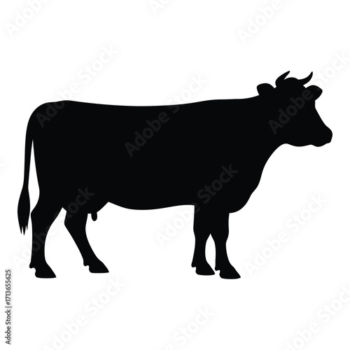 Silhouette of a holstein cow standing profile side view farm animal livestock bovine
