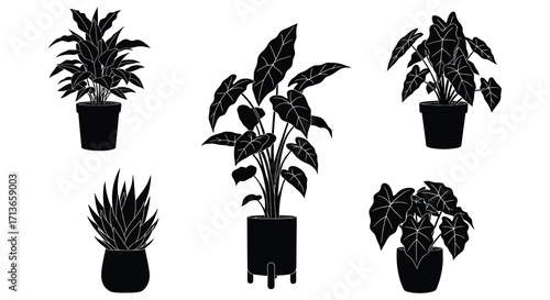 Simple black silhouettes of various potted indoor houseplants on white background