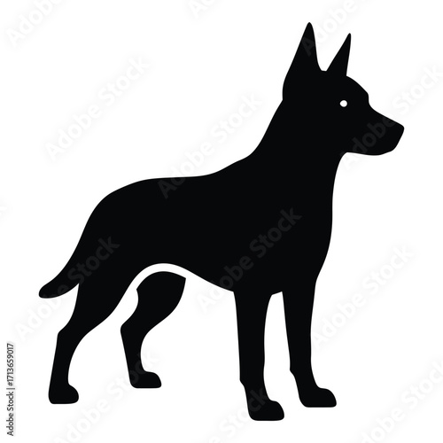 Alert silhouette of a sleek doberman pinscher dog standing proudly