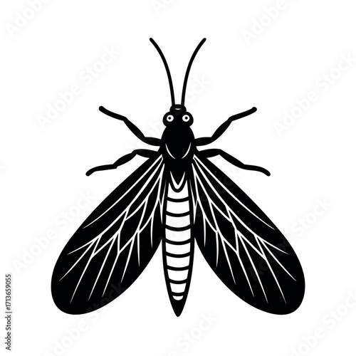 Brown Lacewing Insect Vector  