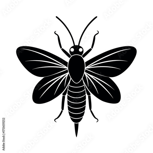 Fishfly Flying Insect Vector  