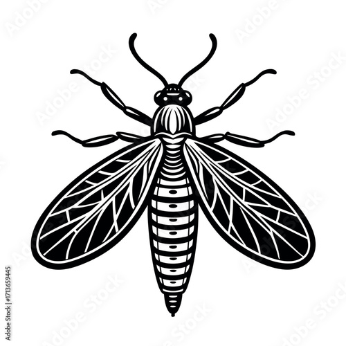 Dobsonfly Winged Insect Artwork  