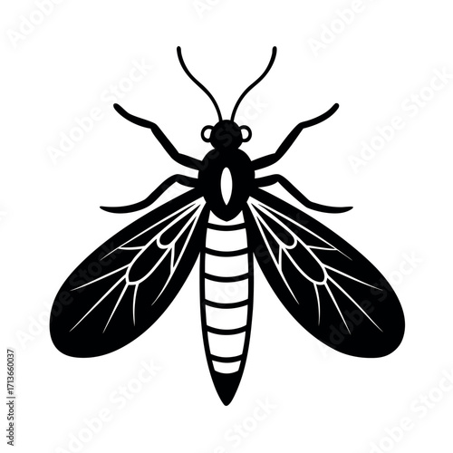 Snakefly Insect Wildlife Graphic  
