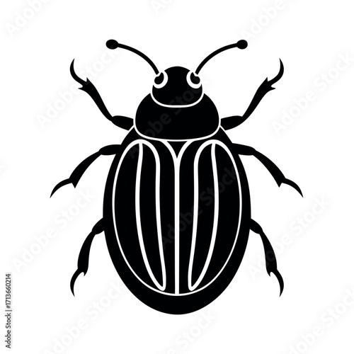 Tortoise Beetle Bug Illustration  