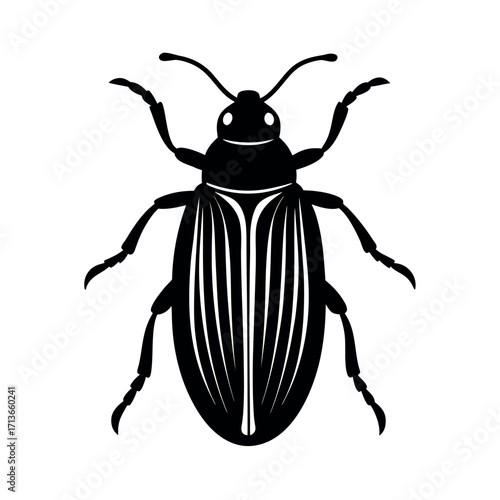 Willow Leaf Beetle Pest Artwork  