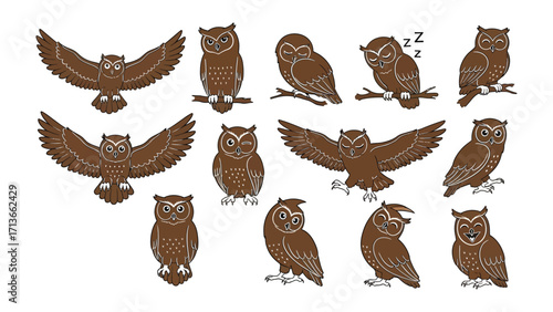 Wise Owls: A collection of detailed illustrations of different owl poses, conveying various expressions and actions, creating a visually engaging and informational resource.