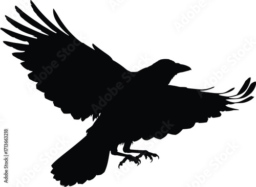 F-Caw-F SVG, Funny Crow SVG, Black Bird Shirt