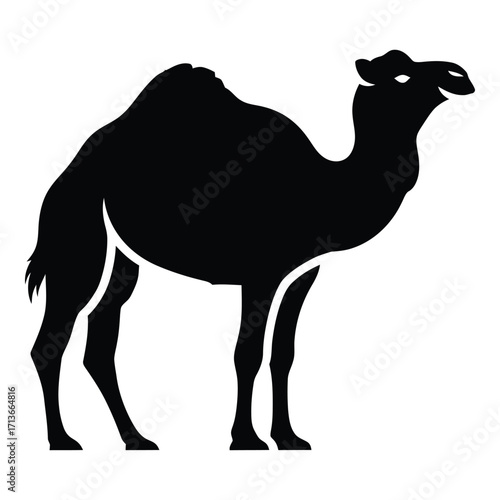 Silhouette of a camel standing proudly in profile black and white animal representation