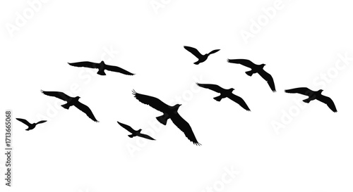 A flock of black birds silhouetted against a bright white background