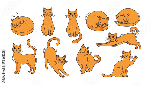 Orange Cat Poses Collection: A charming collection of playful orange cat illustrations, showcasing various poses from napping and stretching to sitting and waving, perfect for any design.
