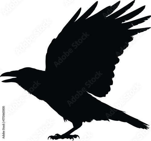 F-Caw-F SVG, Funny Crow SVG, Black Bird Shirt