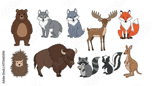 Wildlife Illustration Set: An illustrative array of various North American animals, showcasing their unique characteristics and natural forms, perfect for educational material, children's books.