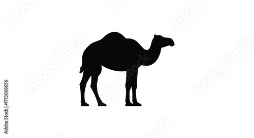 A striking silhouette of a camel against a plain white background