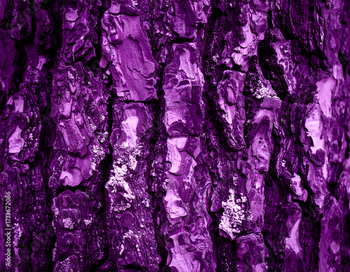 Wallpaper Mural Vibrant purple tree bark with rugged textures and natural patterns. An abstract close-up, perfect for backgrounds and nature-inspired designs. Torontodigital.ca