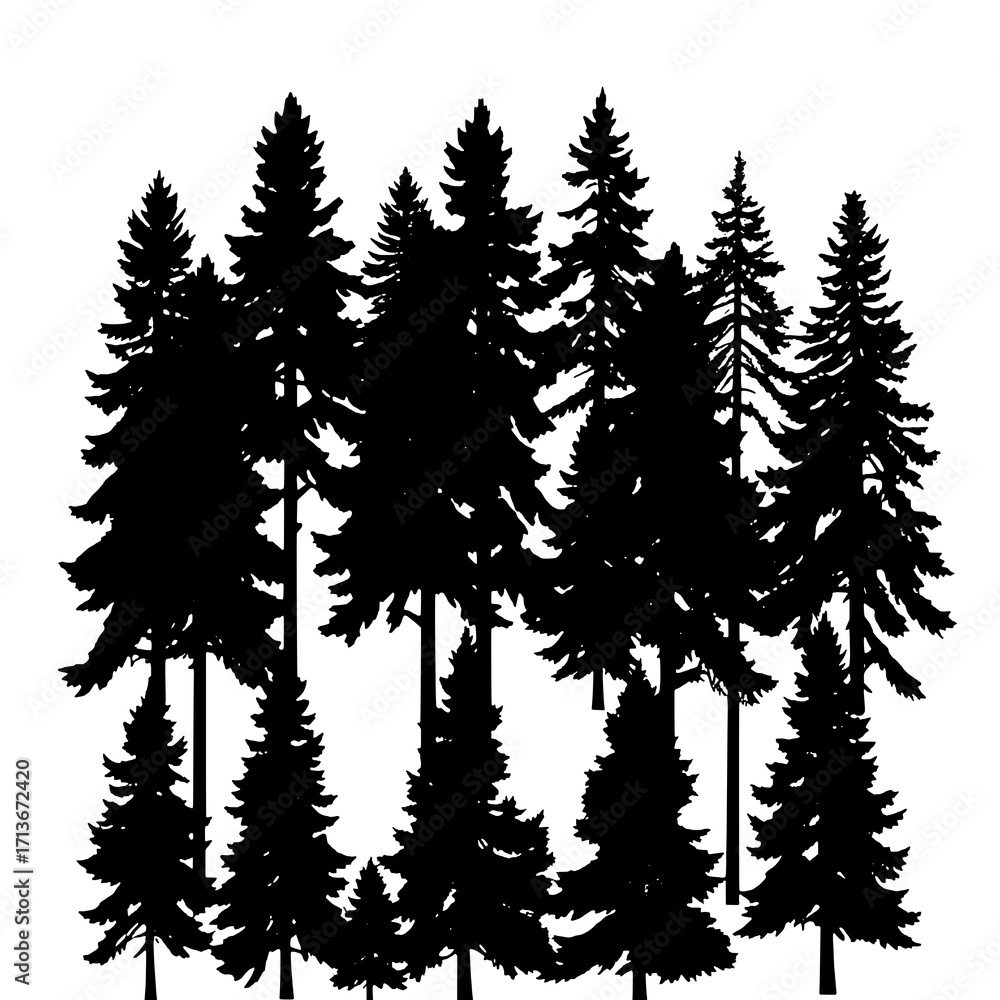 Fototapeta premium Silhouette of a Coniferous Forest: Ten Black Pine Trees Against White Background