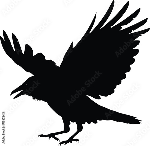 F-Caw-F SVG, Funny Crow SVG, Black Bird Shirt