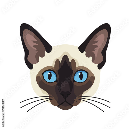 Siamese cat with beautiful blue eyes perfect for pet care, animal blogs, cat products, and feline lovers designs.