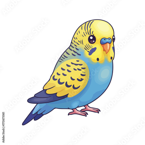 Budgerigar in blue and yellow on white background, suitable for pet care, bird lovers, or cheerful design projects.
