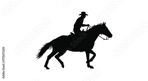 Silhouette of a cowboy riding a horse in a dynamic pose