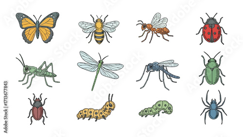 Collection of Insects: A vibrant collection of beautifully illustrated insects, capturing the intricate details of various species.