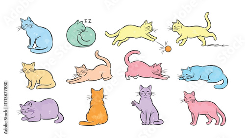 Colorful Cat Clipart: A whimsical collection of adorable cat illustrations, each with its own unique charm, playfully arranged to capture the playful and cute aspects of these beloved creatures.