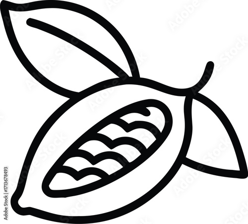 Outline drawing of a halved cocoa pod with beans and two leaves  cacao fruit style vector illustration EPS file download