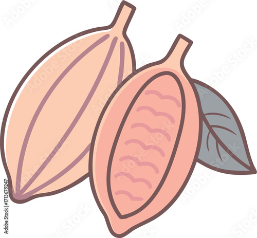 Two stylized cocoa pods, one whole and one split open revealing seeds and pulp, with two leaves style vector illustration EPS file download