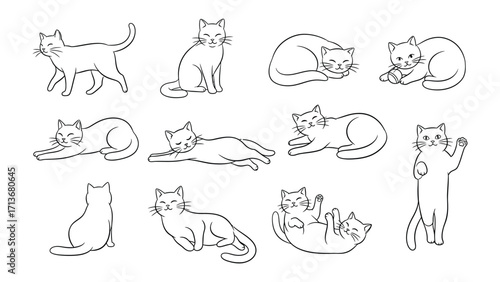 Line Art of Cats: A charming illustration showcasing various postures of domestic cats, from playful stretches to serene naps. Capturing the feline grace in elegant lines.