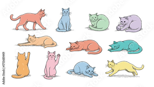 Colorful Cat Collection: A whimsical assortment of colorful cats in various poses, their unique characters and charming personalities come to life.