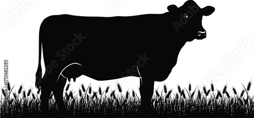 Black silhouette of a cow standing in wheat, farming and agriculture