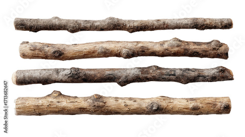 Four parallel, weathered logs
