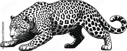 Striking Leopard Illustration, Feline Predator in Hunting Stance, Wildlife
