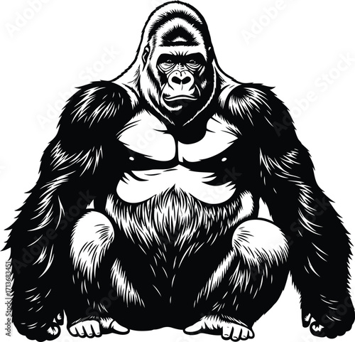 Powerful gorilla illustration, primate with detailed fur and muscular build