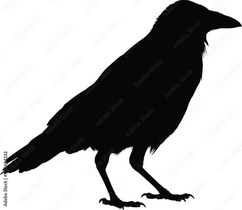Fototapeta premium F-Caw-F SVG, Funny Crow SVG, Black Bird Shirt