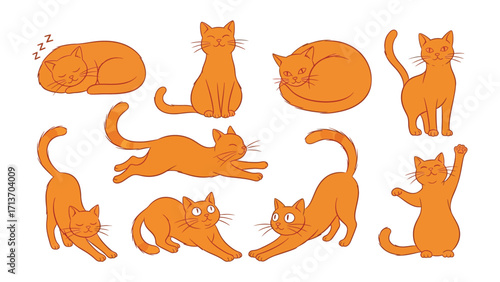 Playful Cat: An array of illustrated cats, each in a unique pose and expression. These ginger feline forms showcase the versatility of the domestic cat. 