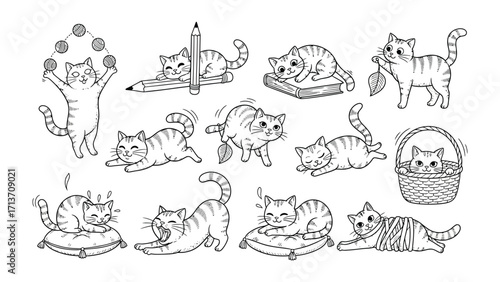 Whimsical Kitten Collection: An adorable assortment of playful kittens, each uniquely posed with delightful expressions, ready for coloring and creativity.