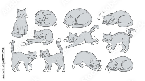 Animated Feline's World: A cartoon image of adorable cat showcasing a collection of cute grey cat illustrations in various poses, each exuding charm and unique personality.