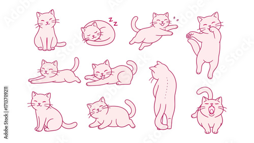 Cute Cat Poses: A charming set of whimsical line drawings, capturing a collection of adorable cats in playful and varied positions, ready to brighten any creative project.