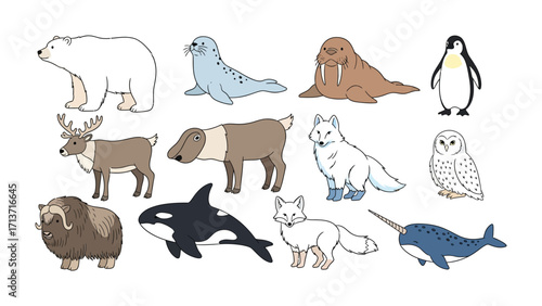 Arctic Animal Assemblage: A captivating assembly of arctic animals including polar bears, seals, walruses, penguins, reindeers, huskies, foxes, owls, musk ox, orcas and narwhals captured.