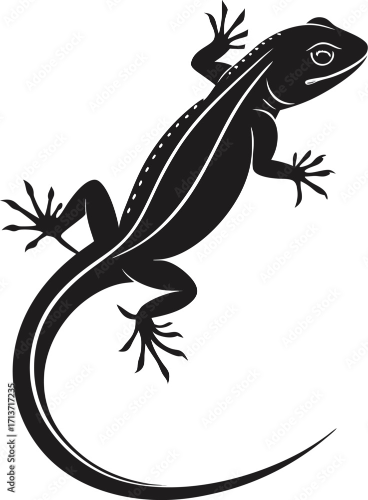 Fototapeta premium lizard on a white background