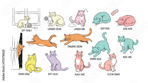 Cat Colors Collection: A charming illustration showcases an assortment of delightful cat color variations, celebrating the vibrant hues and playful spirit of feline companions.