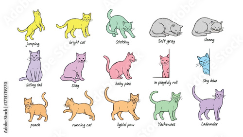 Cats in a Colorful World: A collection of charming illustrations showcases cats in various poses and hues, capturing the essence of feline grace and playfulness in a visually appealing format.