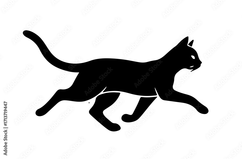 Fototapeta premium black cat isolated on white
