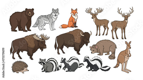 North American Wildlife Collection: A vibrant illustration showcasing the diverse creatures that inhabit North America.