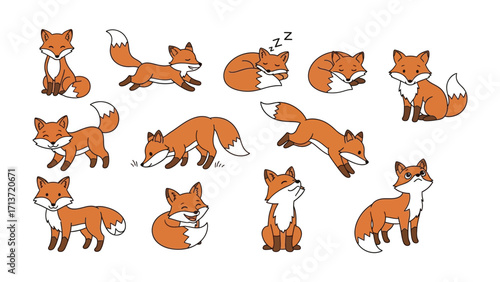 Fox Collection: A charming illustration collection showcases an adorable array of foxes in various playful poses, perfect for a playful theme.