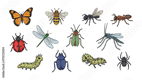 Insect Variety: A vibrant collection of insects showcases the intricate beauty of nature's small wonders, from the delicate wings of butterflies to the industrious antennae of ants.