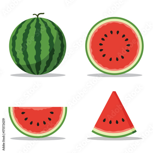 Watermelon Fruit Illustration Collection.