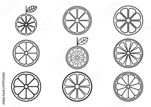 Orange slice line art vector