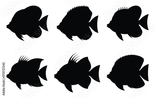 Set of butterflyfish silhouettes. isolated vector on white background.