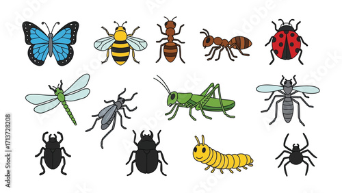 Diverse Insect Collection: A vibrant illustration showcases a collection of various insects, highlighting their unique features and vibrant colors.